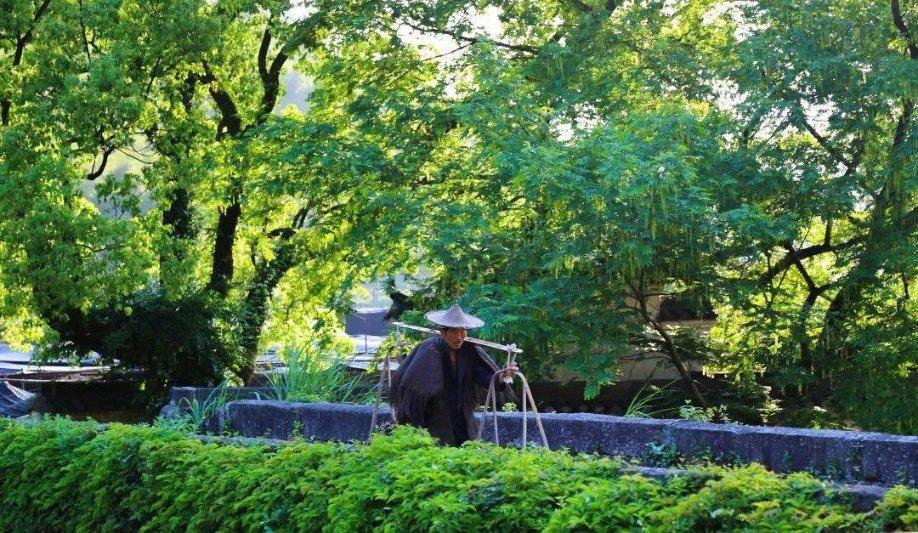 拿破仑：全面战争